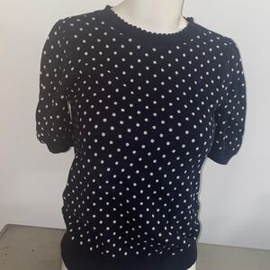 LOFT Navy and White Knit Sweater